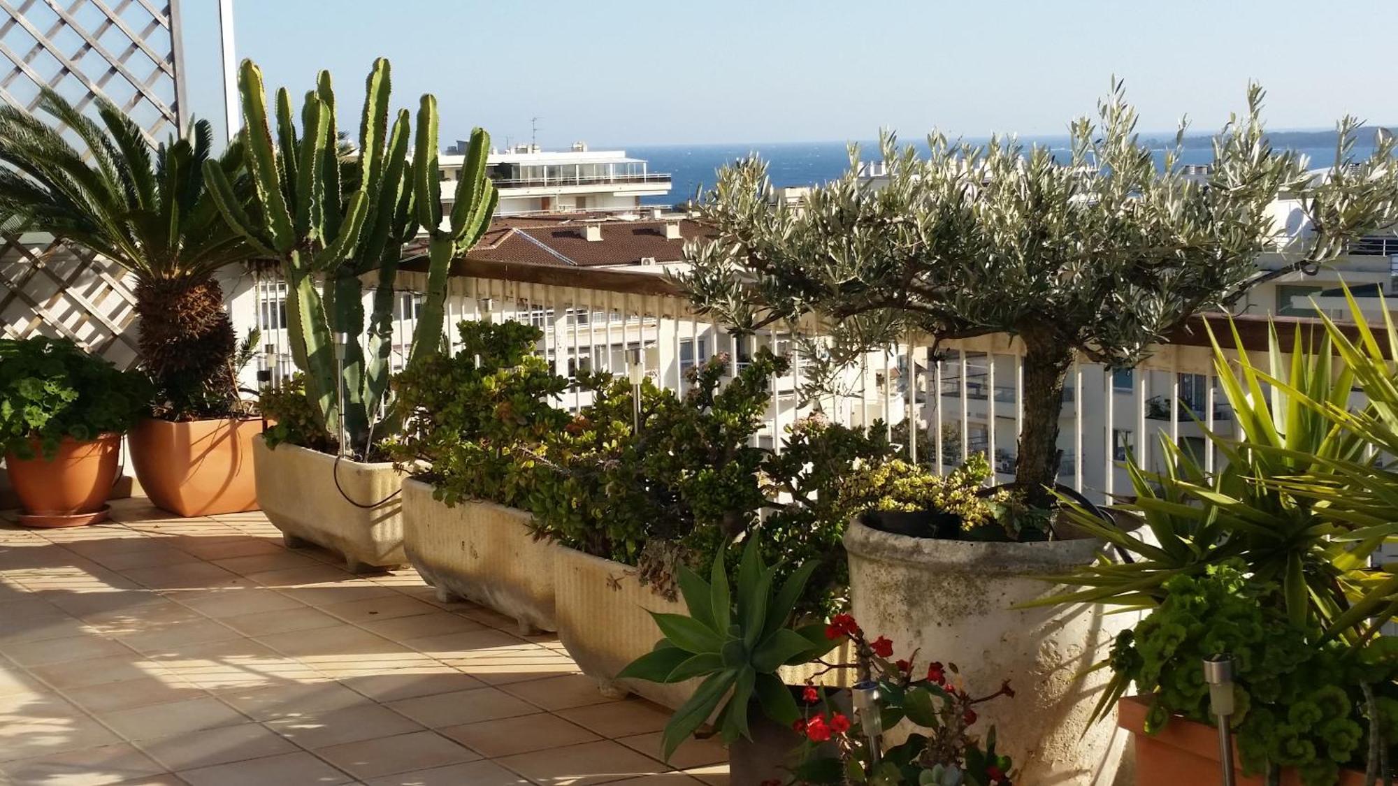 Penthouse Apartamento